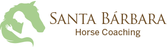 Logo Horizontal2