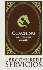 Descarga nuestro bruchure en formato PDF