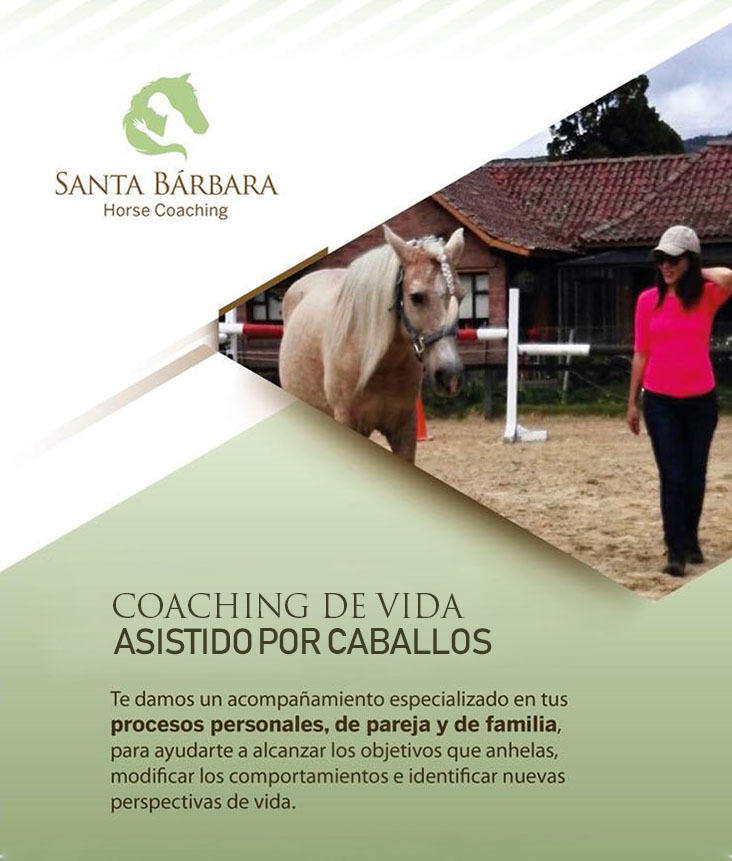 coaching-de-vida