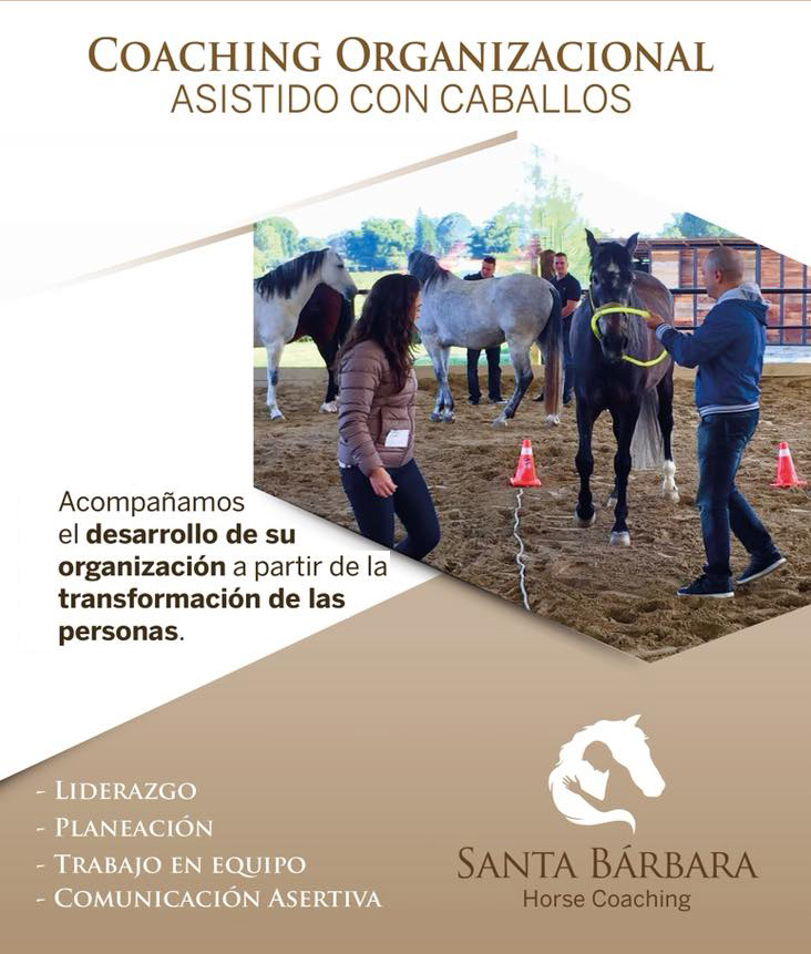 coaching-organizacional