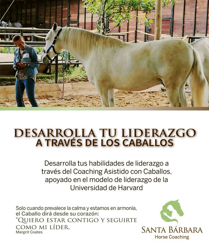 desarrollo-de-liderazgo-asistido-por-caballos